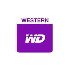 PURPLE WESTERN DIGITAL